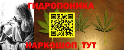PSILOCYBIN Конаково