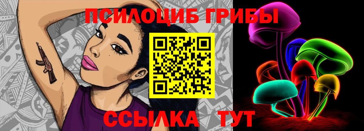 Галлюциногенные грибы прущие грибы  Вход с VPN  Псилоцибиновые грибы Cubensis  Зима 